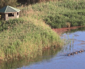 Spring Creek Bird Hide - Accommodation Search 0