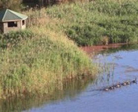 Spring Creek Wetlands Walk - Accommodation Search 0