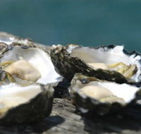 Jim Wilds Oyster Service - Accommodation Search