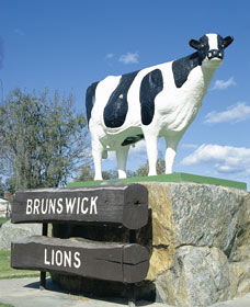 Brunswick Cow - Accommodation Search 0