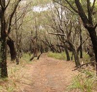 Pretty Beach to Snapper Point walking track - Accommodation Search