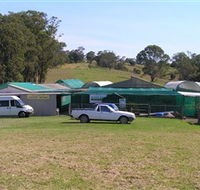 Tinonee Orchid Nursery - Accommodation Search
