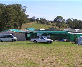 Tinonee Orchid Nursery - Accommodation Search 0