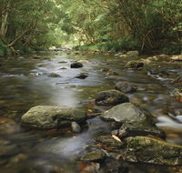 Plateau Circuit loop trail - Accommodation Search