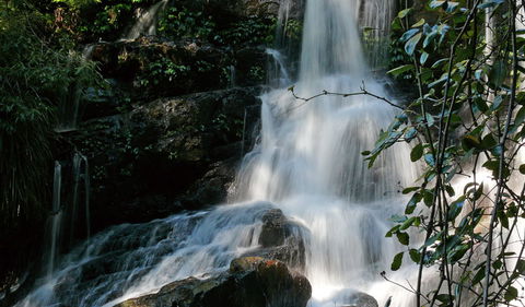 Bangalore Falls Walking Track - Accommodation Search 3