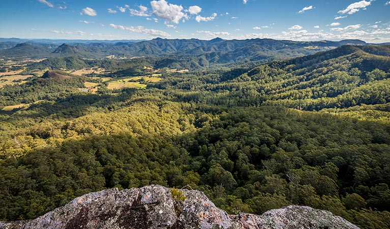 Lansdowne Forest ACT Accommodation Search