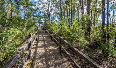 Flat Rock Lookout - Accommodation Search 2