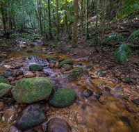 Starrs Creek picnic area - Accommodation Search