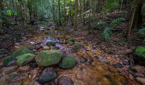 Starrs Creek Picnic Area - Accommodation Search 0