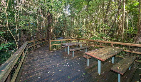 Starrs Creek Picnic Area - Accommodation Search 1