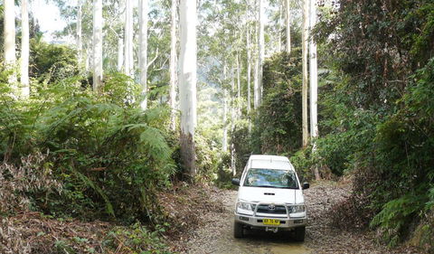 Bindarri National Park - Accommodation Search 2