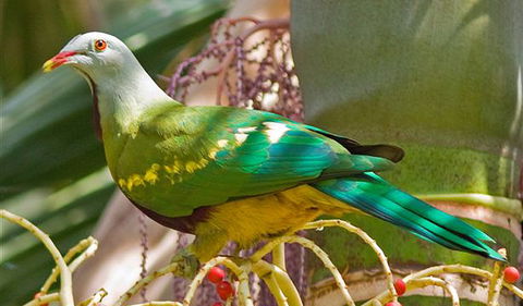 Bindarri National Park - Accommodation Search 3