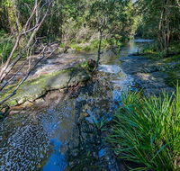 Dawson River walking track - Accommodation Search