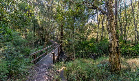 Dawson River Walking Track - Accommodation Search 1