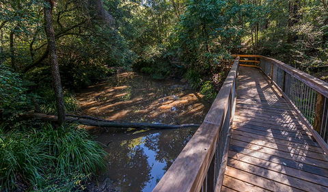 Ms Kellys Walking Track - Accommodation Search 0