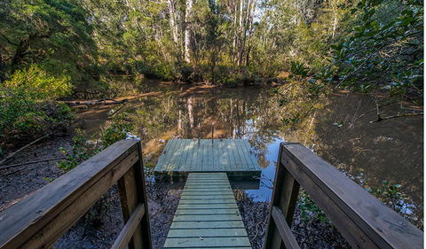 Brimbin Picnic Area - Accommodation Search 1