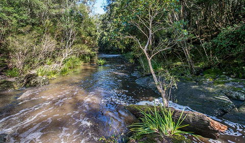 Brimbin Picnic Area - Accommodation Search 2