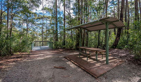 Big Nellie Lookout And Picnic Area - Accommodation Search 0