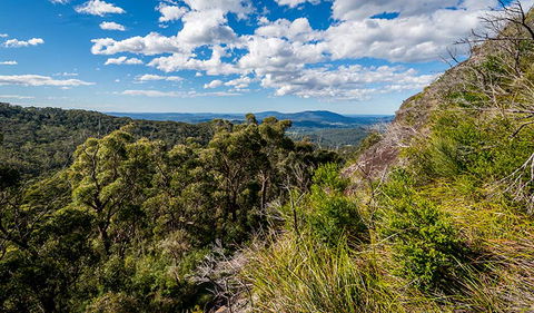 Big Nellie Lookout And Picnic Area - Accommodation Search 2