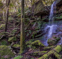 Coorabakh National Park - Accommodation Search