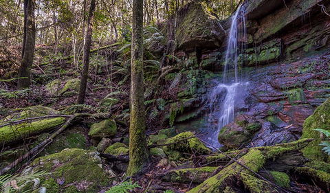 Coorabakh National Park - Accommodation Search 0