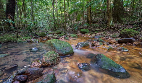 Coorabakh National Park - Accommodation Search 1