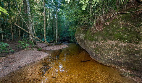 Coorabakh National Park - Accommodation Search 2