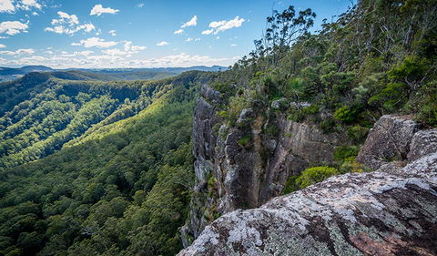 Coorabakh National Park - Accommodation Search 3