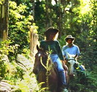 Clarendon Forest Retreat Horse Riding - Accommodation Search