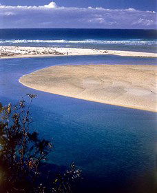 One Tree Point Lookout And Picnic Area - Accommodation Search 1