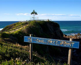 One Tree Point Lookout And Picnic Area - Accommodation Search 0