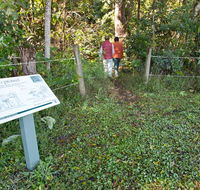 Coramba Nature Reserve - Accommodation Search