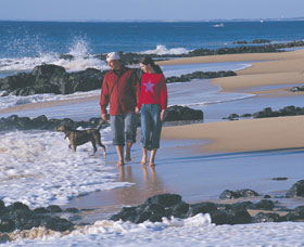 Back Beach - Accommodation Search 0
