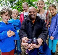 Wigay Aboriginal Culture Park - Accommodation Search