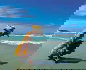 Diamond Beach - Accommodation Search 0