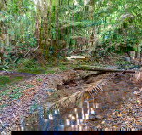Ulidarra National Park - Accommodation Search