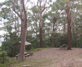 Orara East State Forest - Accommodation Search 2