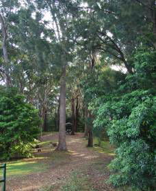Orara East State Forest - Accommodation Search 1