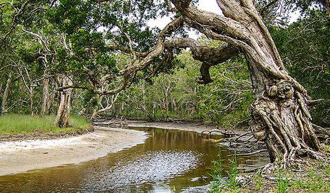 Saltwater National Park - Accommodation Search 0