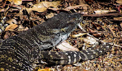 Saltwater National Park - Accommodation Search 2
