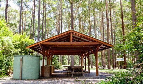 Bongil Picnic Area - Accommodation Search 0