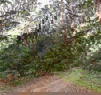 End Peak walking track - Accommodation Search