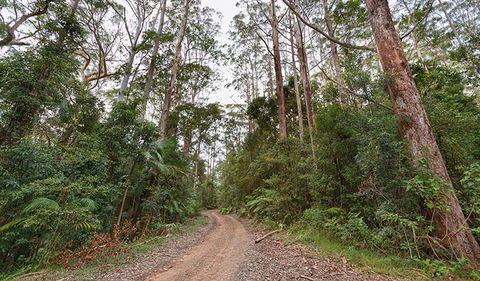 End Peak Walking Track - Accommodation Search 0