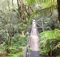 Bemm River Scenic Reserve - Accommodation Search