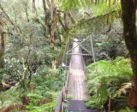 Bemm River Scenic Reserve - Accommodation Search 0