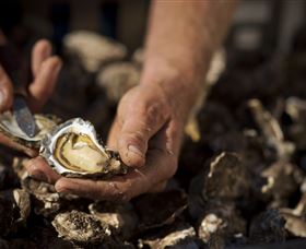 Food, Wine And Farmers Gate Journey On The Legendary Pacific Coast - Accommodation Search 2