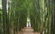 Crystal Castle And Shambhala Gardens - thumb 1