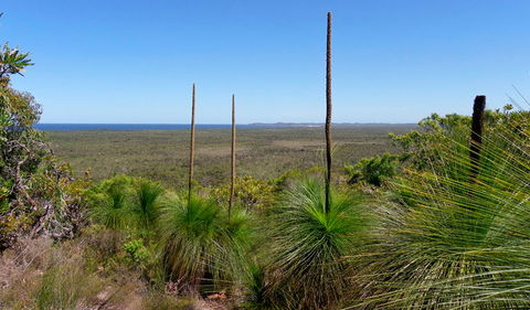 Broadwater National Park - Accommodation Search 1