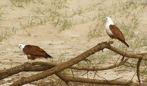 Broadwater National Park - Accommodation Search 2