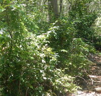 Bridle trail - Accommodation Search